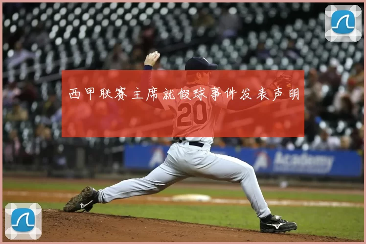 西甲联赛主席就假球事件发表声明