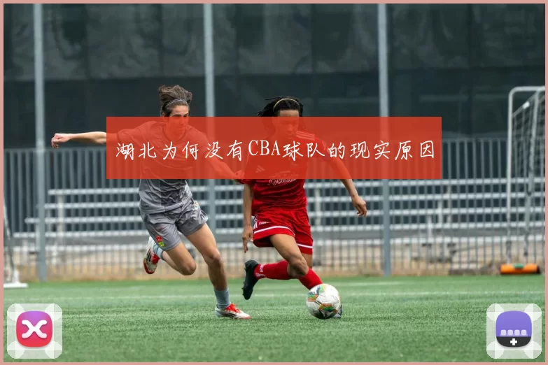 湖北为何没有CBA球队的现实原因