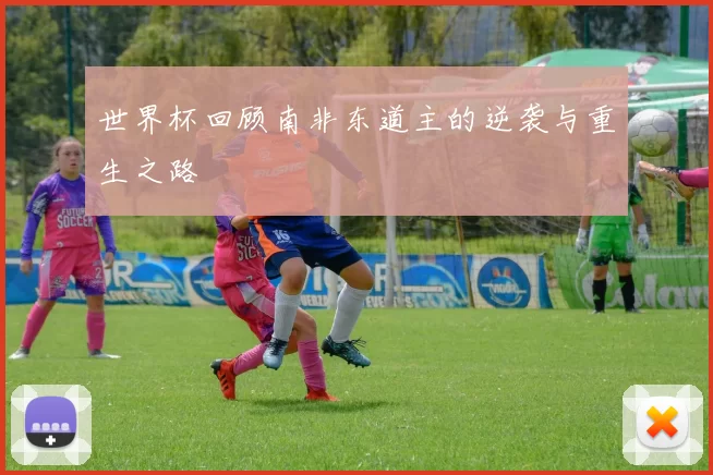 世界杯回顾南非东道主的逆袭与重生之路