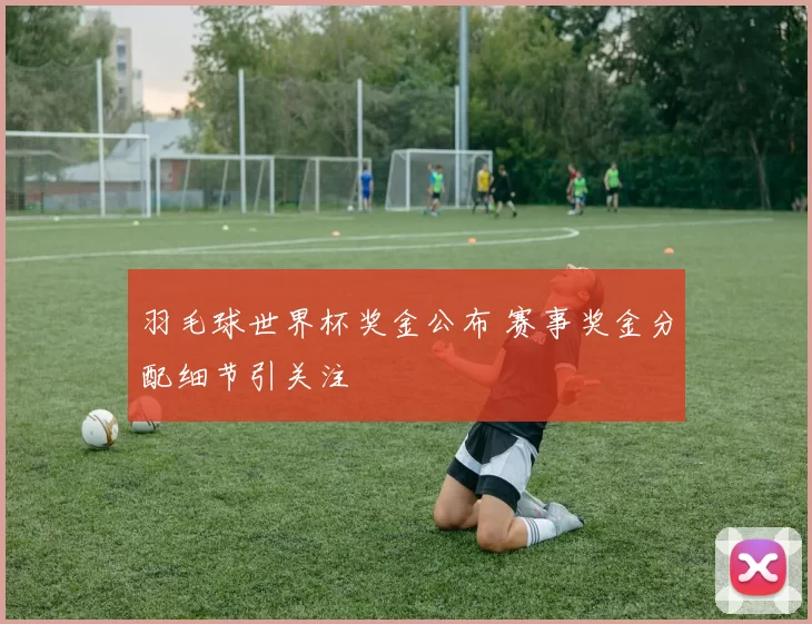 羽毛球世界杯奖金公布 赛事奖金分配细节引关注