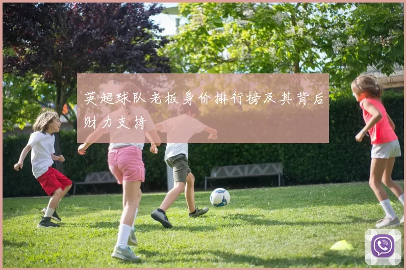 英超球队老板身价排行榜及其背后财力支持