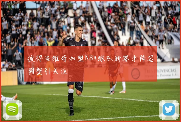 彼得洛维奇加盟NBA球队新赛季阵容调整引关注