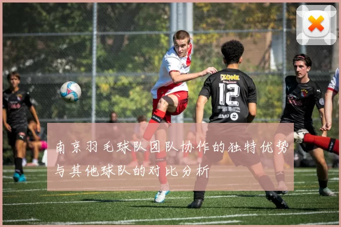 南京羽毛球队团队协作的独特优势与其他球队的对比分析