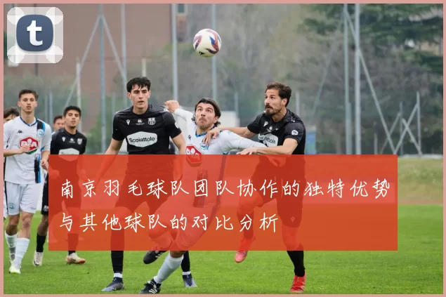 南京羽毛球队团队协作的独特优势与其他球队的对比分析