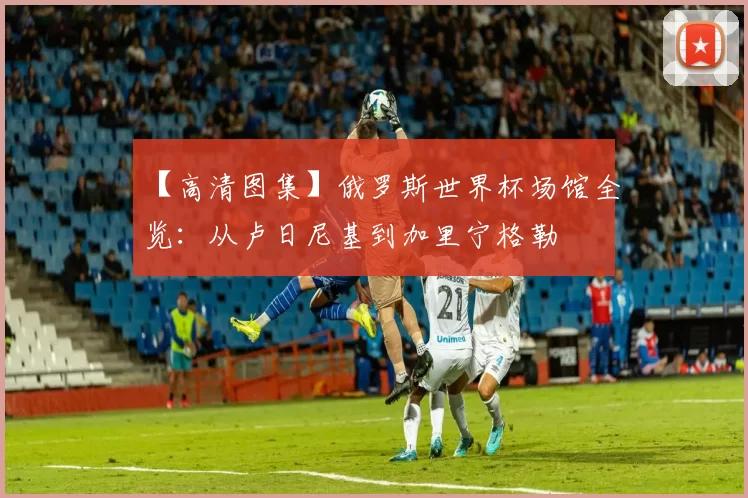 【高清图集】俄罗斯世界杯场馆全览:从卢日尼基到加里宁格勒