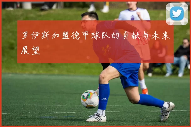 罗伊斯加盟德甲球队的贡献与未来展望