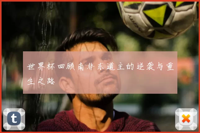 世界杯回顾南非东道主的逆袭与重生之路