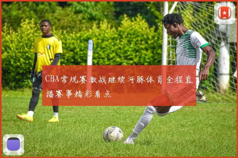 CBA常规赛激战继续河豚体育全程直播赛事精彩看点